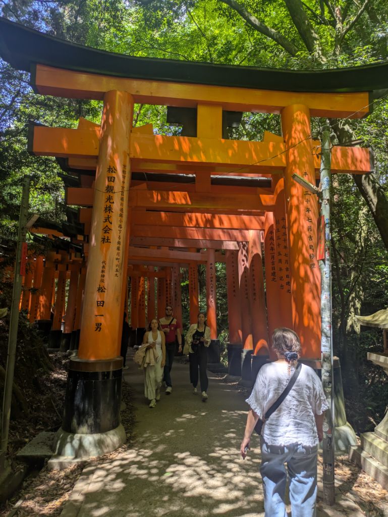 伏見稲荷大社 千本鳥居